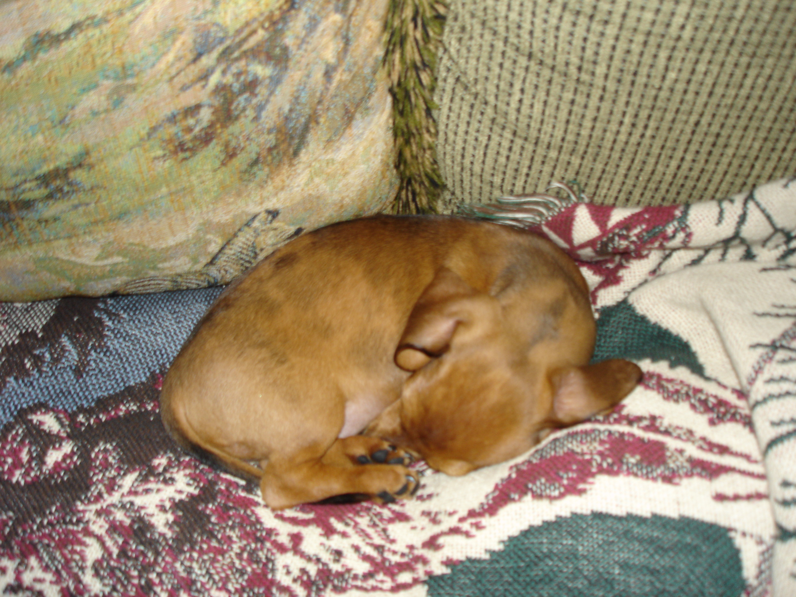 DSC00014