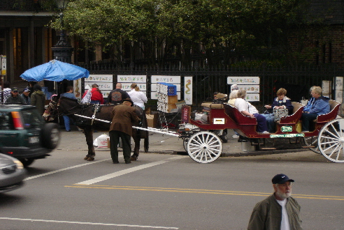 DSC00049